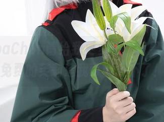 PoppaChan请给我更多药，如果再来个免费的芙莉莲我可能受不了！