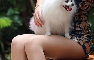 魔镜街拍：逛商场的美女，咖啡色丝袜的美图让我开启了小小遐想